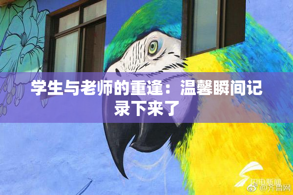 学生与老师的重逢：温馨瞬间记录下来了