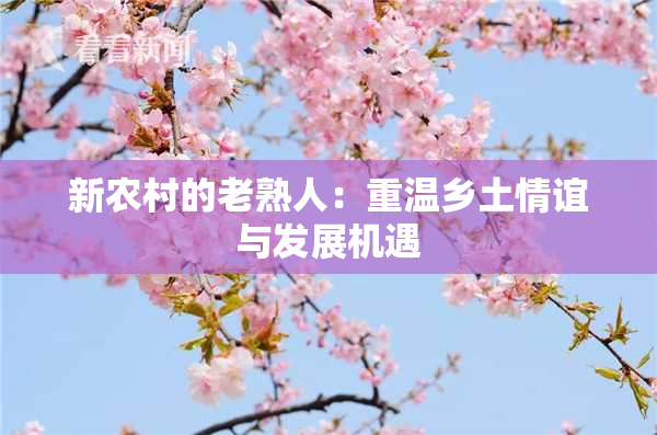 新农村的老熟人：重温乡土情谊与发展机遇