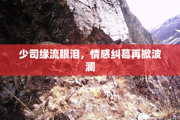 少司缘流眼泪，情感纠葛再掀波澜