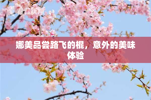 娜美品尝路飞的棍，意外的美味体验