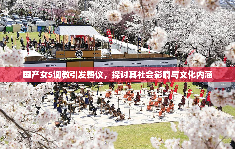 国产女S调教引发热议，探讨其社会影响与文化内涵