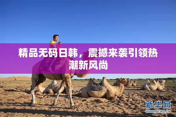 精品无码日韩，震撼来袭引领热潮新风尚