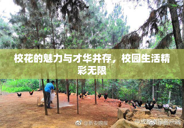 校花的魅力与才华并存，校园生活精彩无限