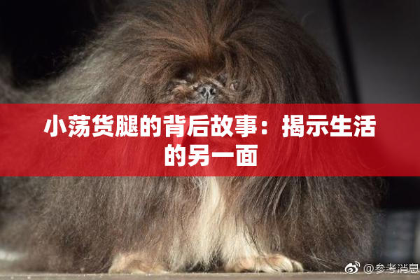 小荡货腿的背后故事：揭示生活的另一面