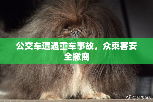 公交车遭遇重车事故，众乘客安全撤离