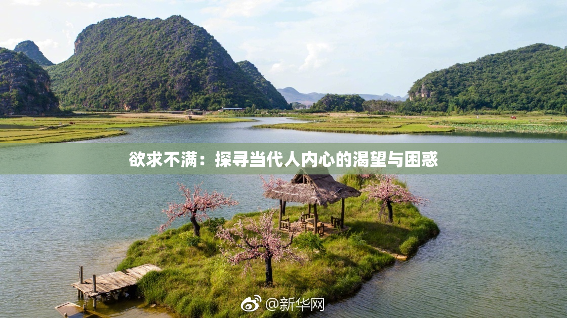 欲求不满：探寻当代人内心的渴望与困惑