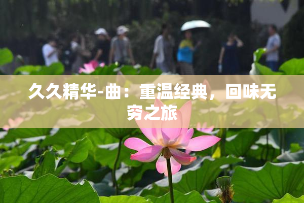 久久精华-曲：重温经典，回味无穷之旅