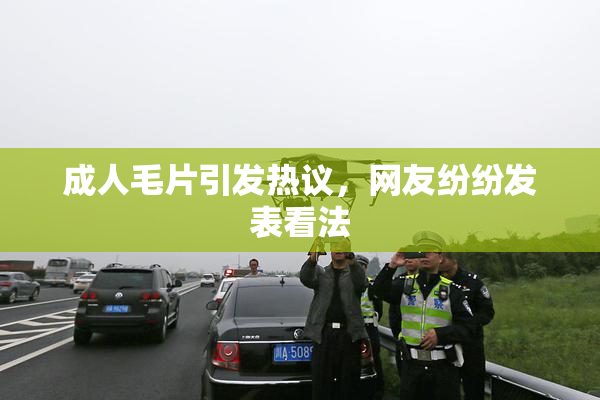 成人毛片引发热议，网友纷纷发表看法