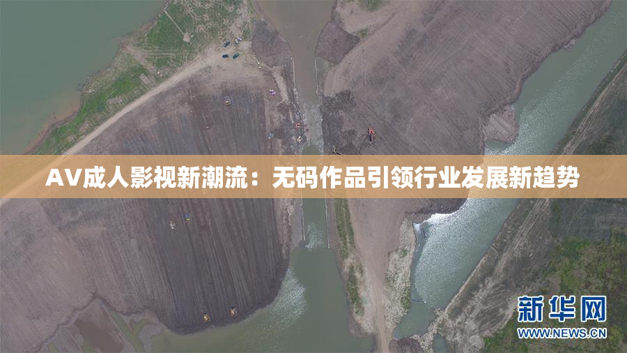 AV成人影视新潮流：无码作品引领行业发展新趋势