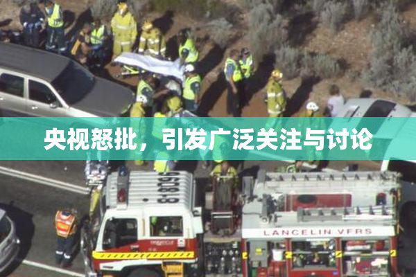 央视怒批，引发广泛关注与讨论
