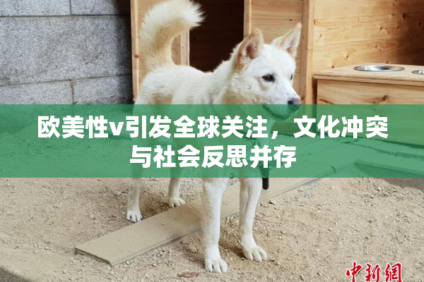 欧美性v引发全球关注，文化冲突与社会反思并存