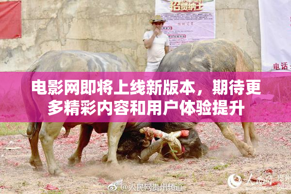 电影网即将上线新版本，期待更多精彩内容和用户体验提升