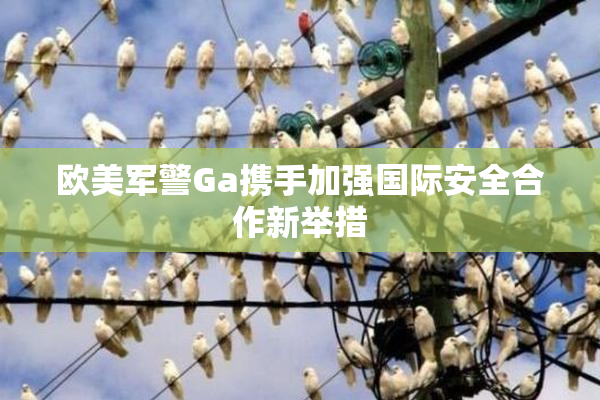 欧美军警Ga携手加强国际安全合作新举措