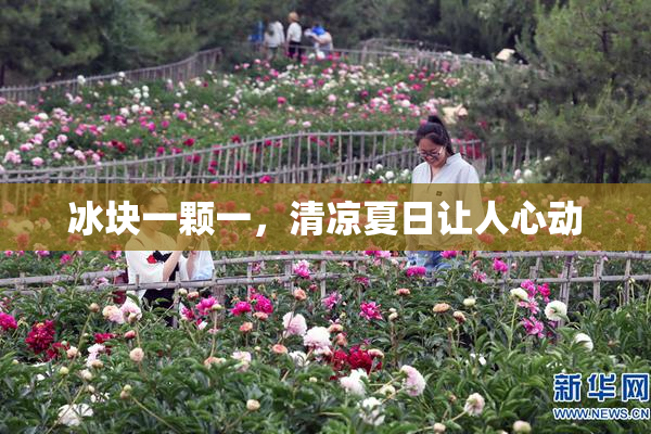 冰块一颗一，清凉夏日让人心动