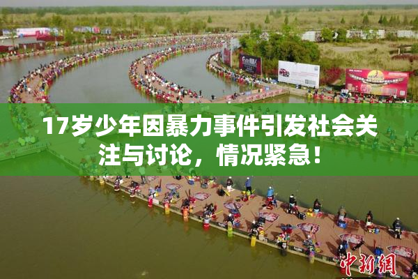17岁少年因暴力事件引发社会关注与讨论，情况紧急！