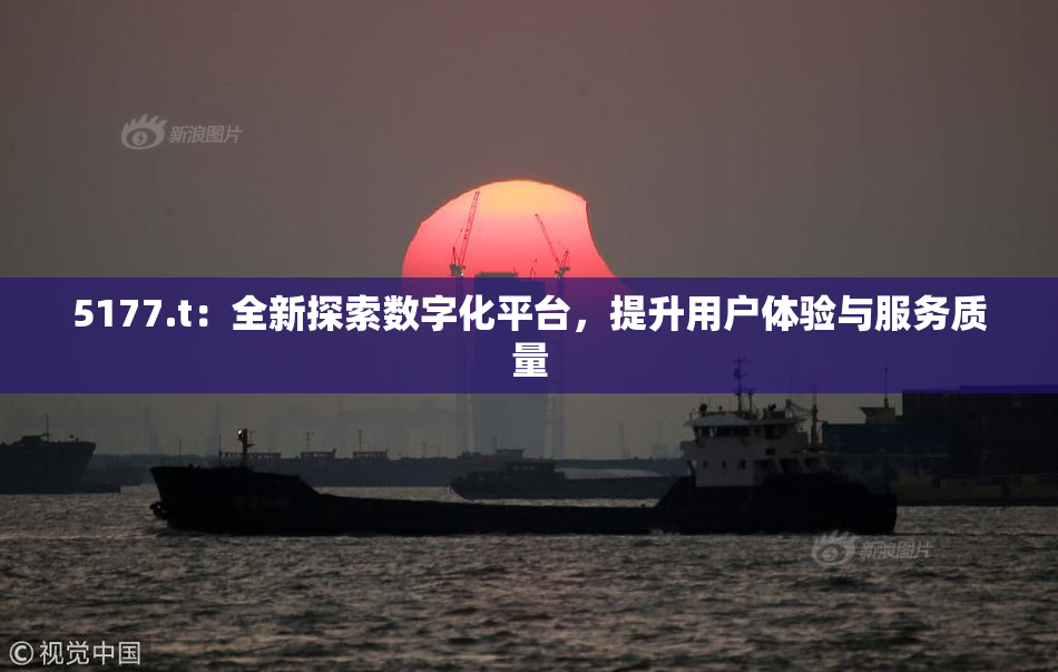 5177.t：全新探索数字化平台，提升用户体验与服务质量