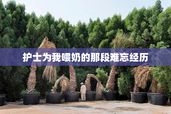 护士为我喂奶的那段难忘经历