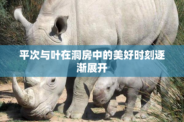平次与叶在洞房中的美好时刻逐渐展开