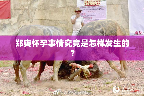 郑爽怀孕事情究竟是怎样发生的？