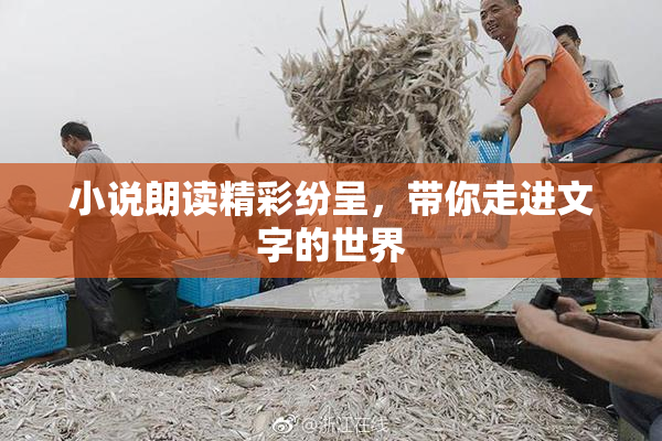 小说朗读精彩纷呈，带你走进文字的世界