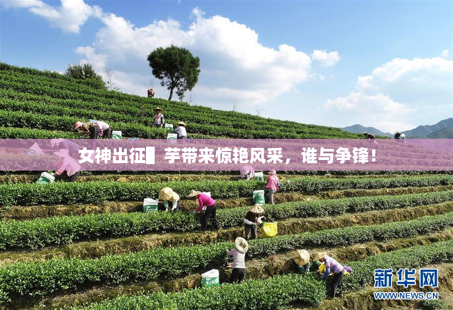 女神出征▌芋带来惊艳风采，谁与争锋！