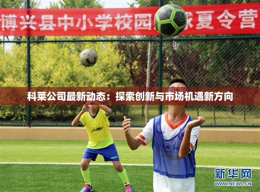 科莱公司最新动态：探索创新与市场机遇新方向