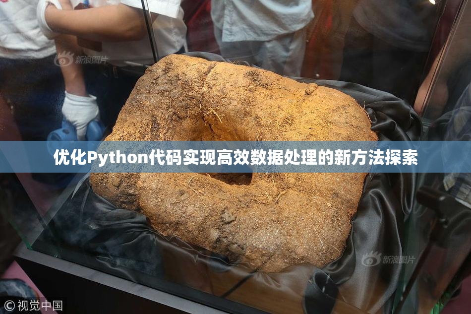 优化Python代码实现高效数据处理的新方法探索