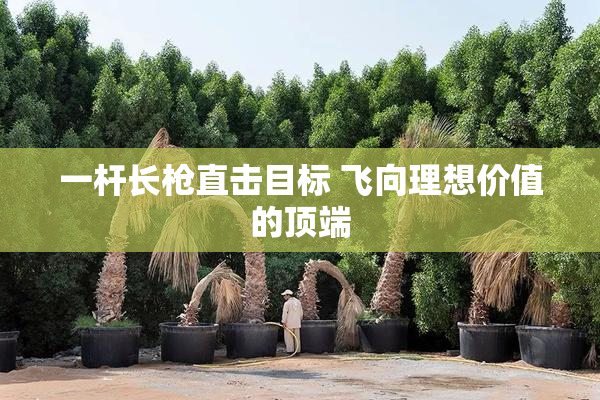 一杆长枪直击目标 飞向理想价值的顶端