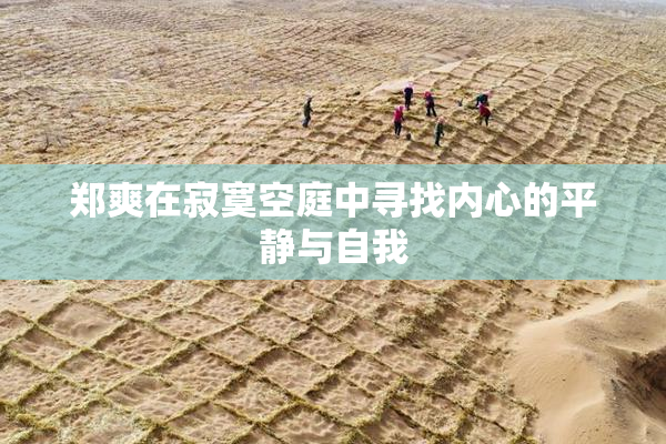 郑爽在寂寞空庭中寻找内心的平静与自我