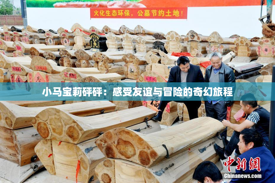 小马宝莉砰砰：感受友谊与冒险的奇幻旅程