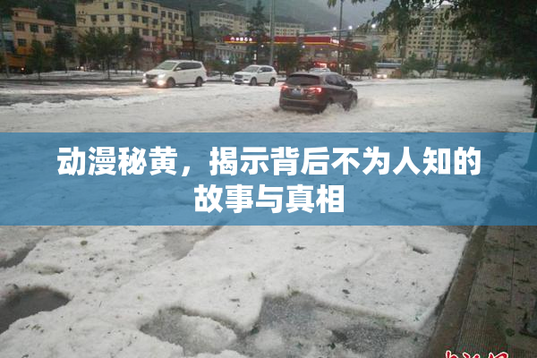 动漫秘黄，揭示背后不为人知的故事与真相