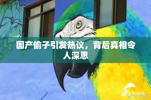 国产偷子引发热议，背后真相令人深思