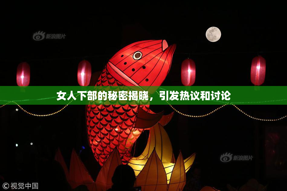女人下部的秘密揭晓，引发热议和讨论