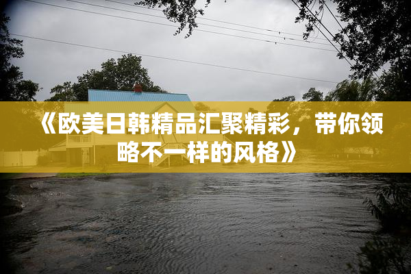 《欧美日韩精品汇聚精彩，带你领略不一样的风格》