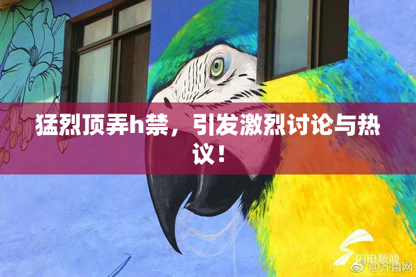 猛烈顶弄h禁，引发激烈讨论与热议！