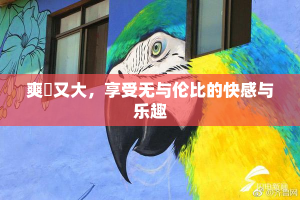 爽擼又大，享受无与伦比的快感与乐趣