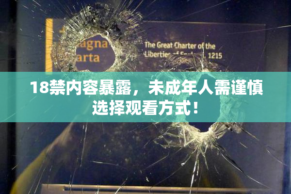 18禁内容暴露，未成年人需谨慎选择观看方式！