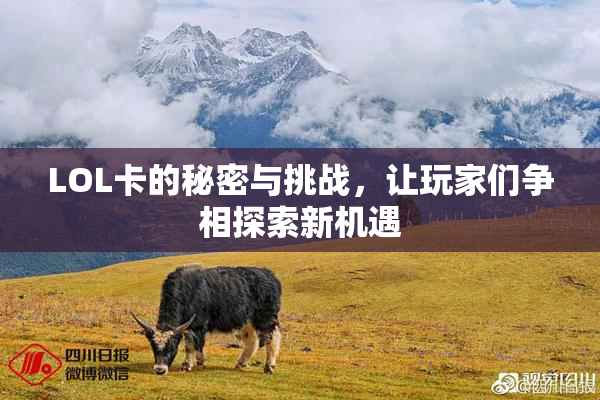 LOL卡的秘密与挑战，让玩家们争相探索新机遇