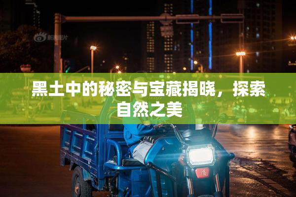 黑土中的秘密与宝藏揭晓，探索自然之美