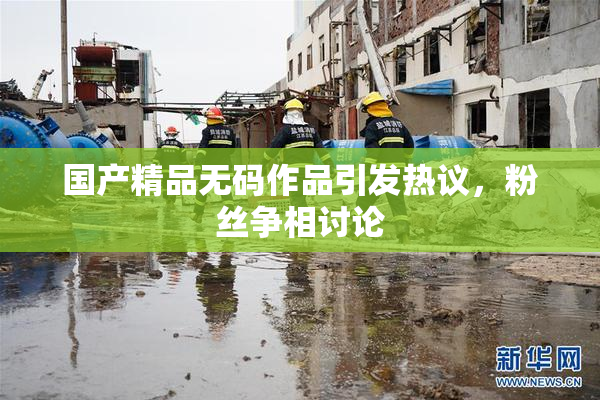 国产精品无码作品引发热议，粉丝争相讨论