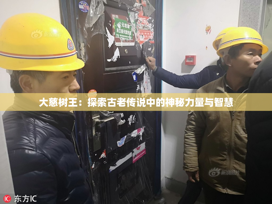 大慈树王：探索古老传说中的神秘力量与智慧