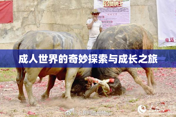 成人世界的奇妙探索与成长之旅