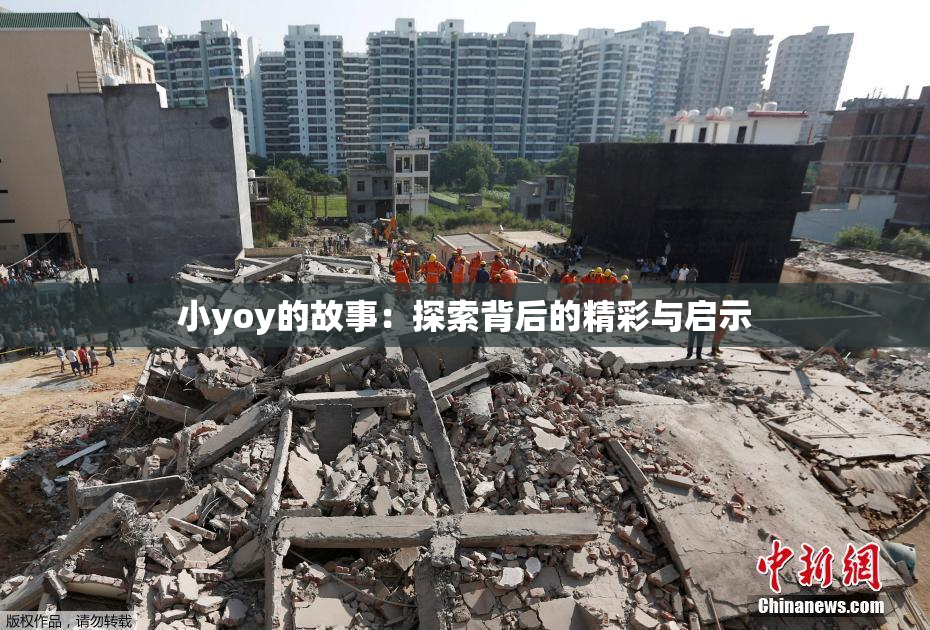 小yoy的故事：探索背后的精彩与启示