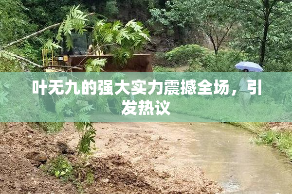 叶无九的强大实力震撼全场，引发热议