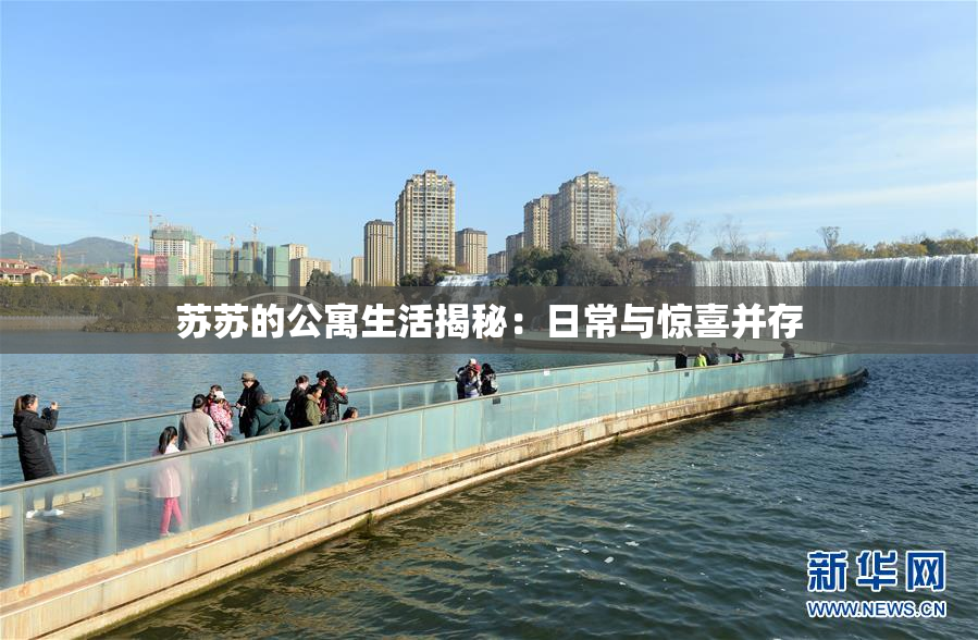 苏苏的公寓生活揭秘：日常与惊喜并存