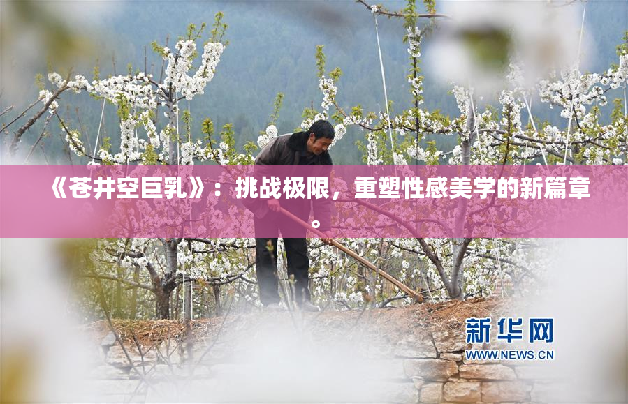 《苍井空巨乳》：挑战极限，重塑性感美学的新篇章。