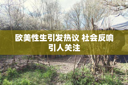 欧美性生引发热议 社会反响引人关注