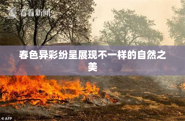 春色异彩纷呈展现不一样的自然之美