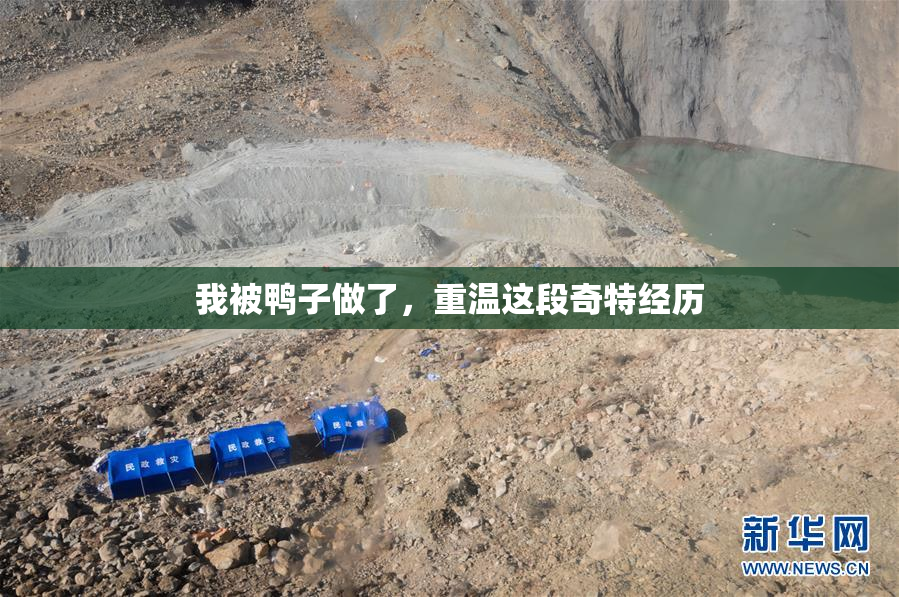 我被鸭子做了，重温这段奇特经历