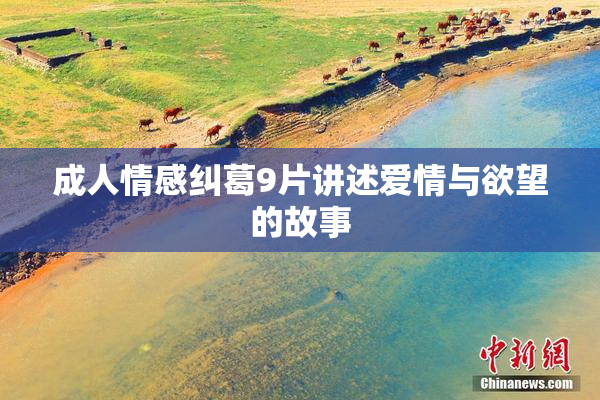 成人情感纠葛9片讲述爱情与欲望的故事